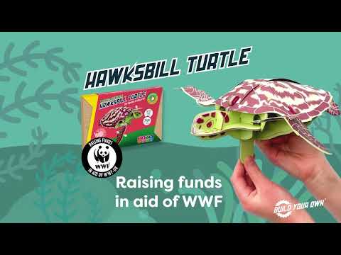 STEM Build - Hawksbill Turtle with Moving Mechanisms - Image 2