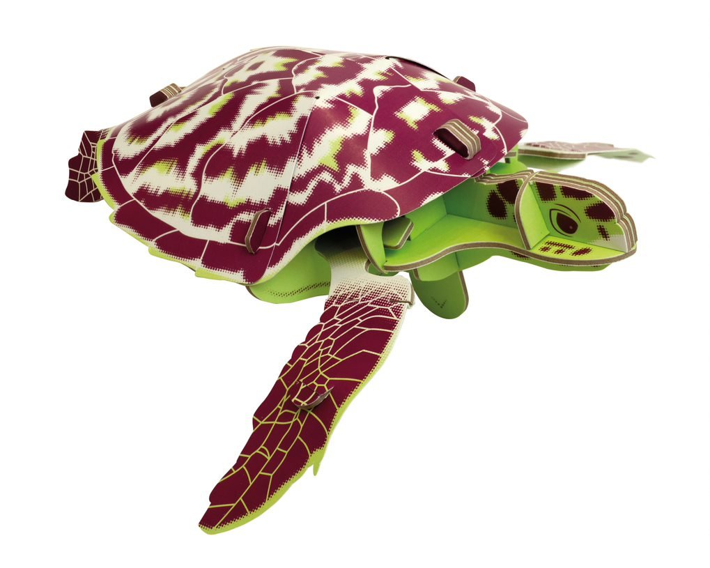 STEM Build - Hawksbill Turtle with Moving Mechanisms - Image 9